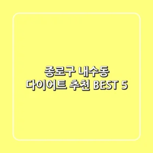 종로구 내수동 다이어트 추천 BEST 5
