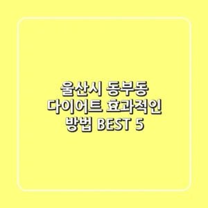 울산시 동부동 다이어트 | 효과적인 방법 BEST 5