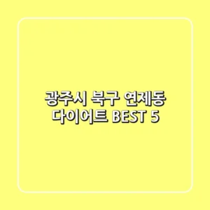 광주시 북구 연제동 다이어트 BEST 5