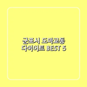 군포시 도마교동 다이어트 BEST 5
