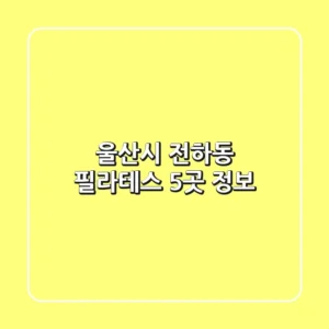 울산시 전하동 필라테스 5곳 정보
