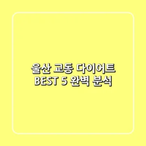 울산 교동 다이어트 BEST 5 완벽 분석