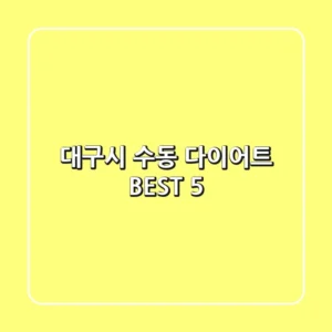 대구시 수동 다이어트 BEST 5