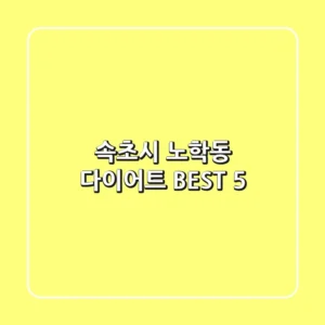 속초시 노학동 다이어트 BEST 5