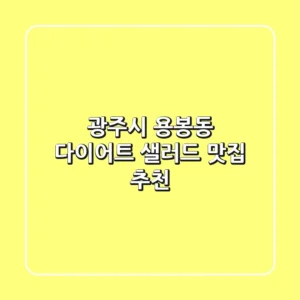 광주시 용봉동 다이어트 샐러드 맛집 추천