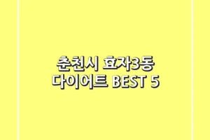 춘천시 효자3동 다이어트 BEST 5