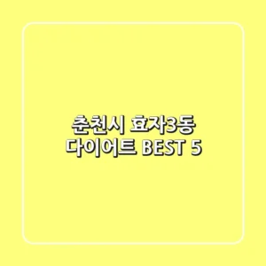 춘천시 효자3동 다이어트 BEST 5