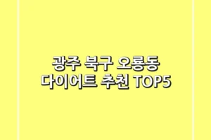 광주 북구 오룡동 다이어트 추천 TOP5