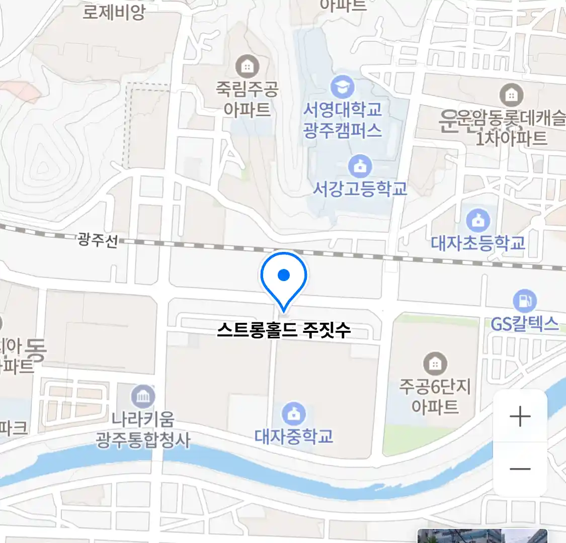 스트롱홀드 주짓수