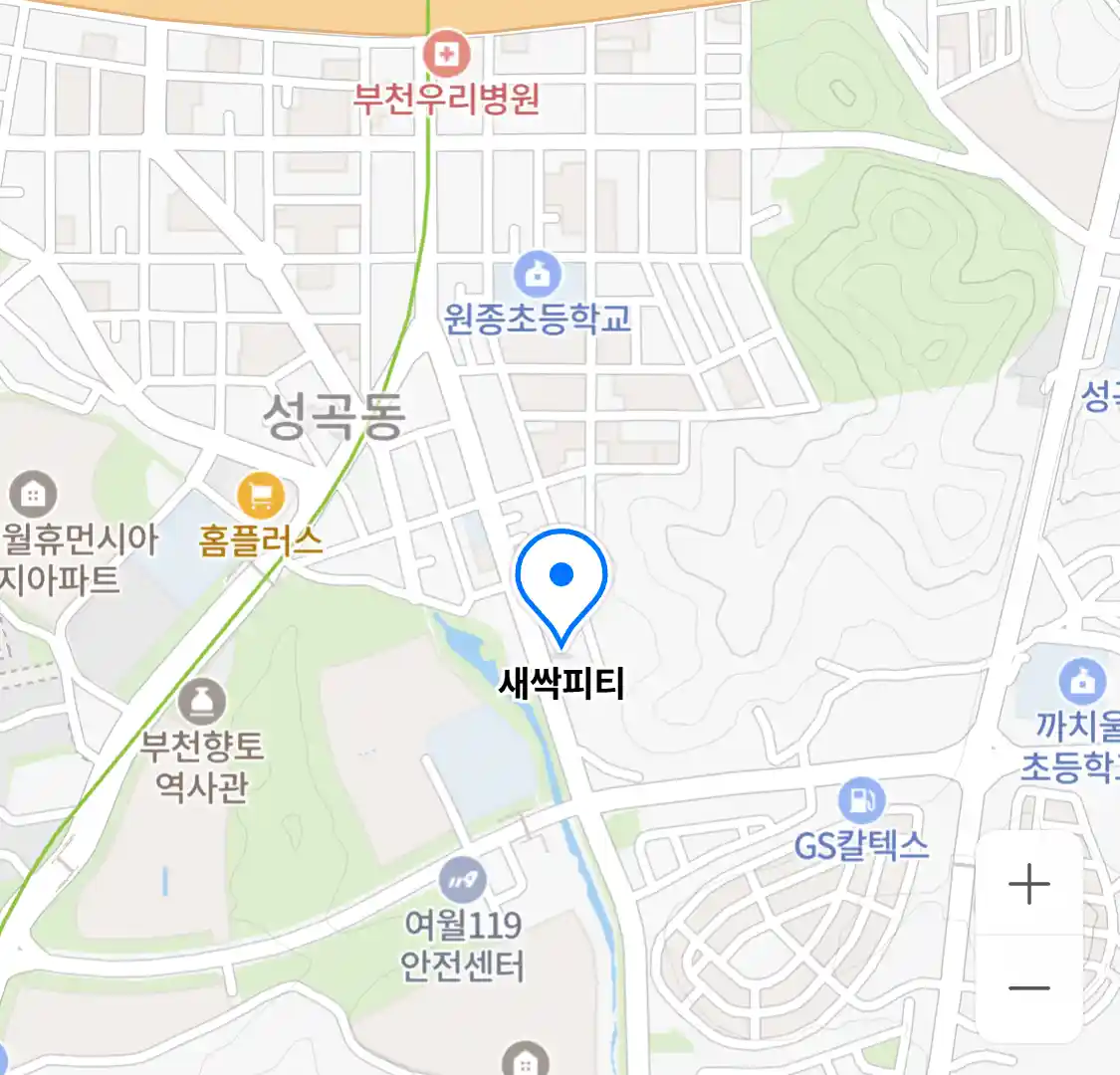 새싹피티