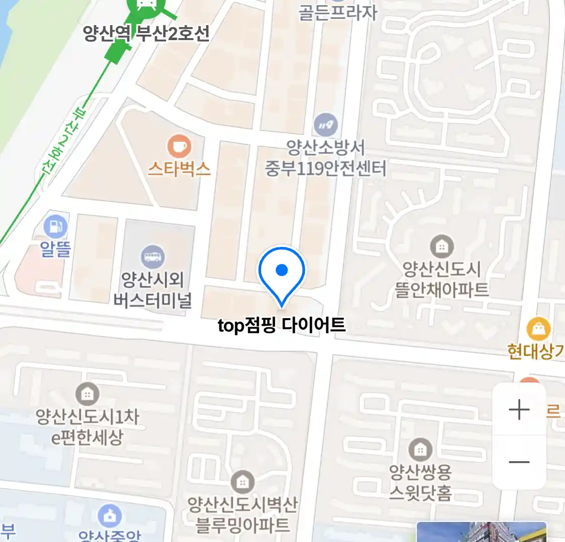 top점핑 다이어트