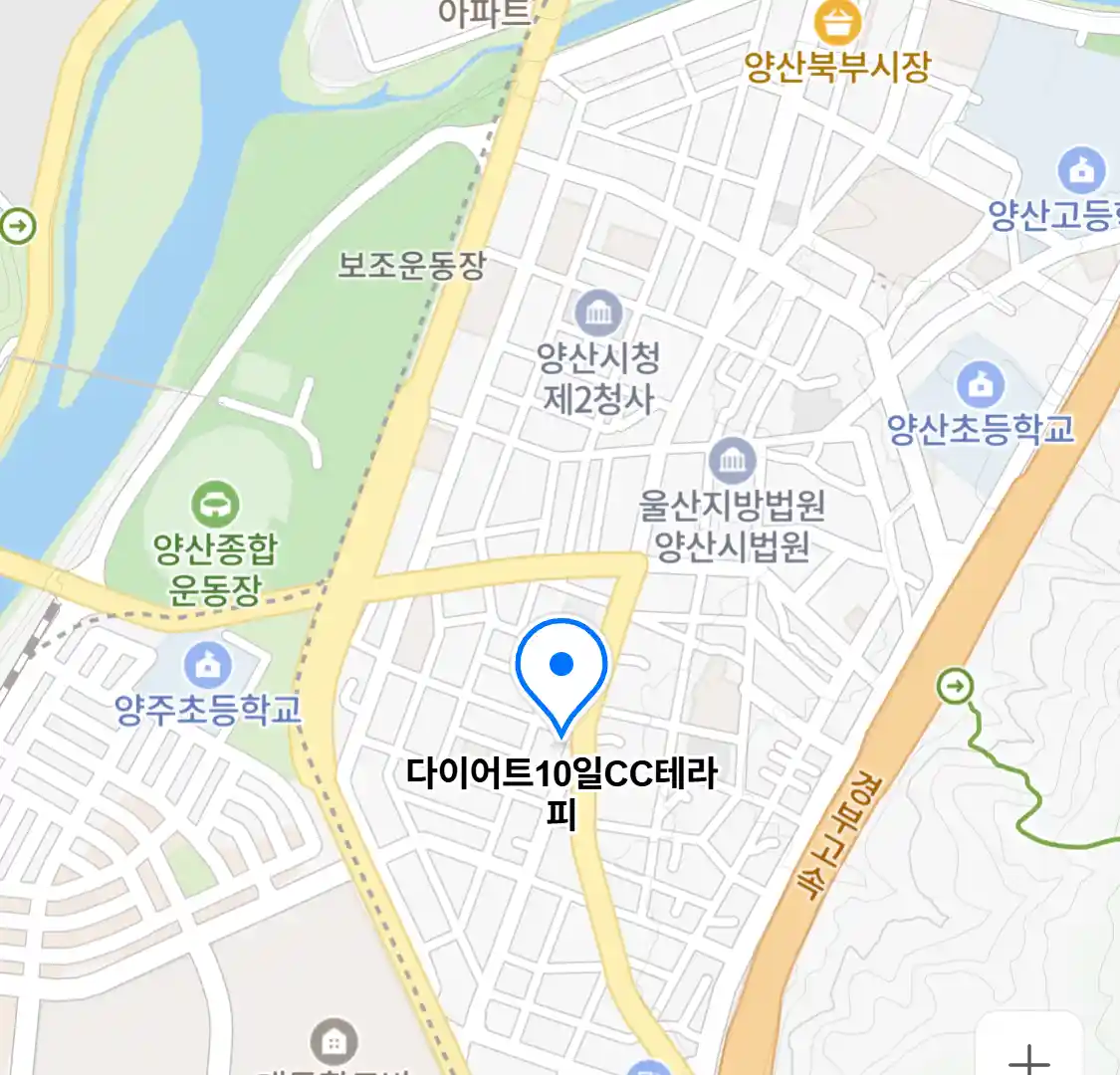 다이어트10일CC테라피