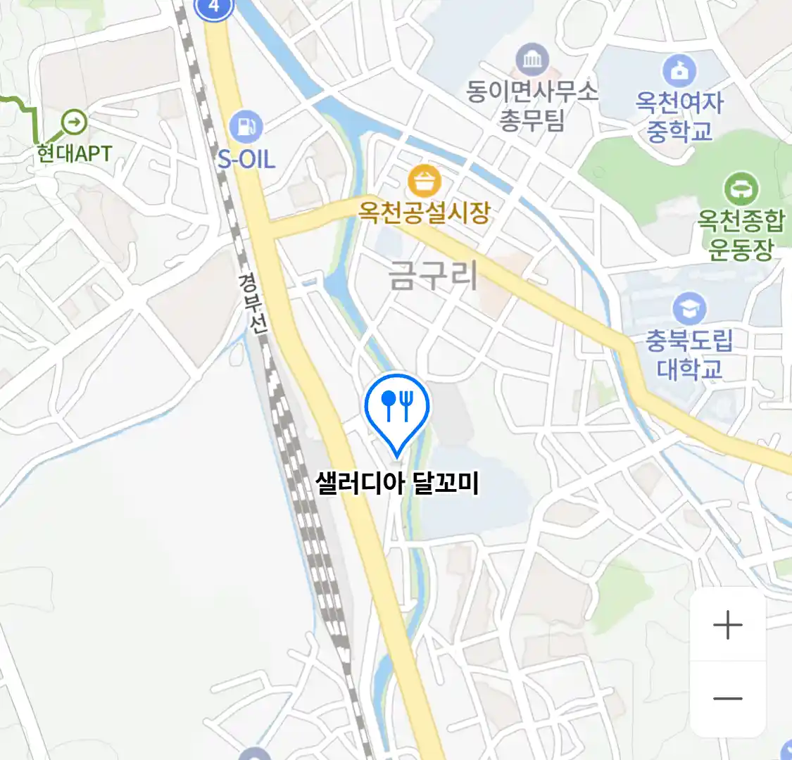 샐러디아 달꼬미