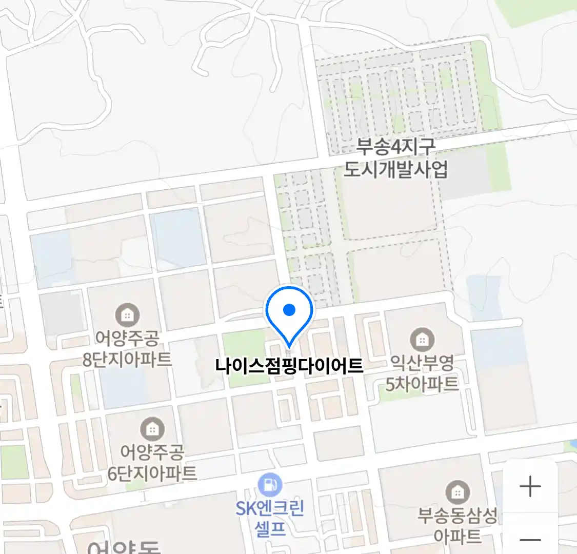 나이스점핑다이어트