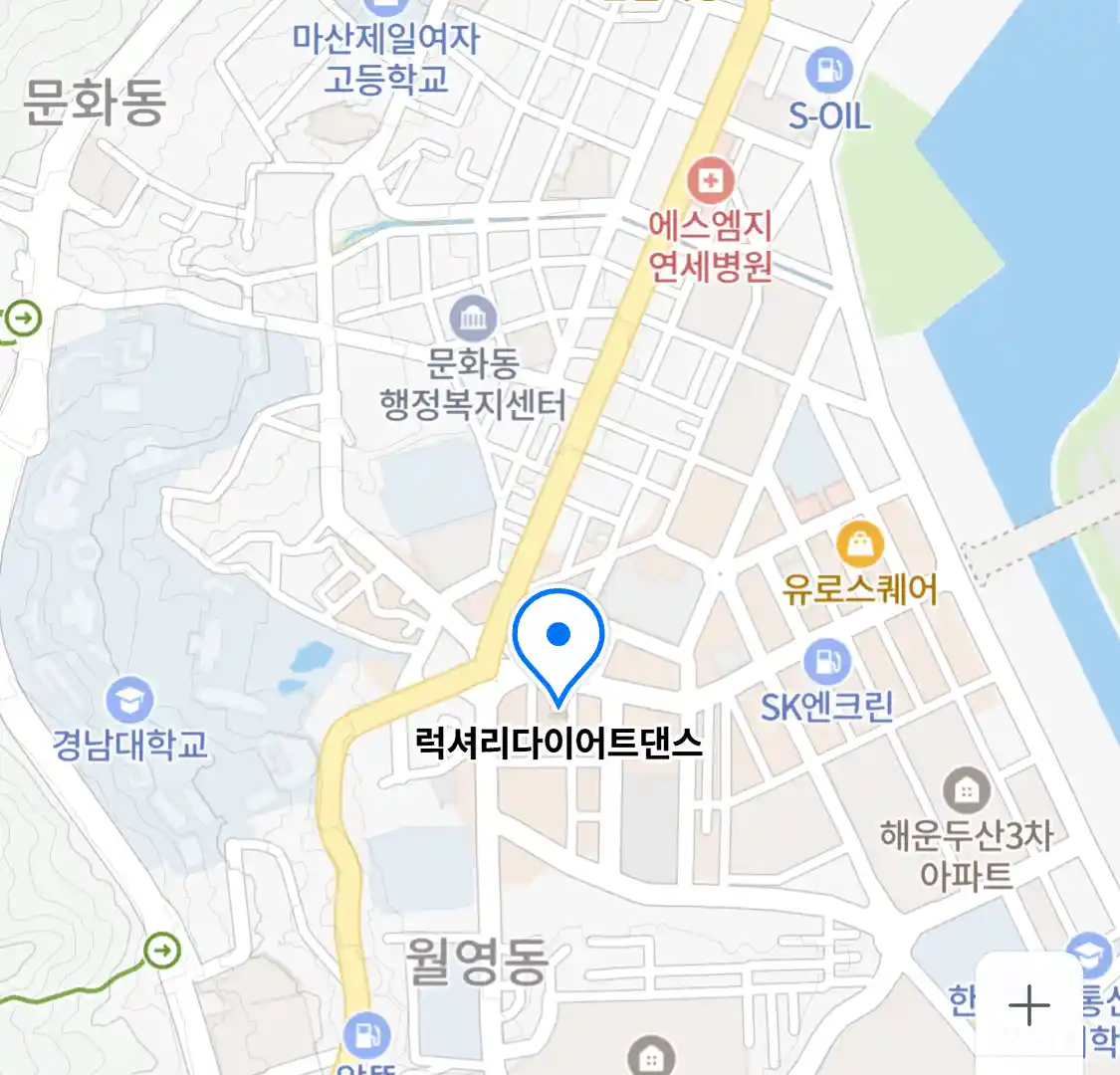 럭셔리다이어트댄스