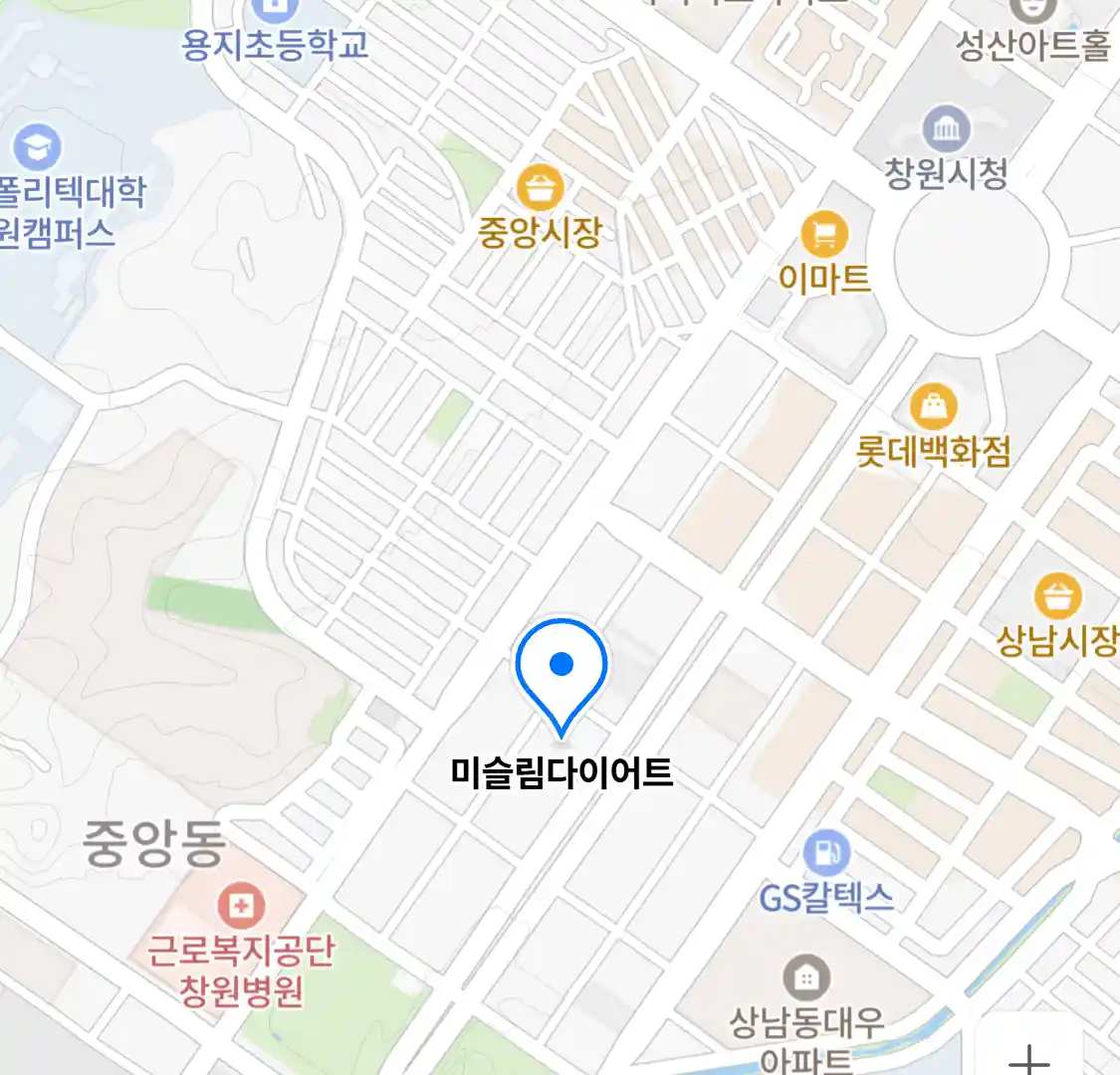 미슬림다이어트