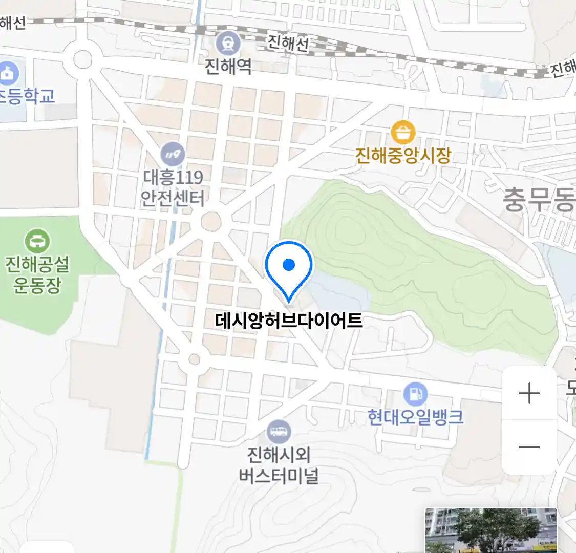 데시앙허브다이어트