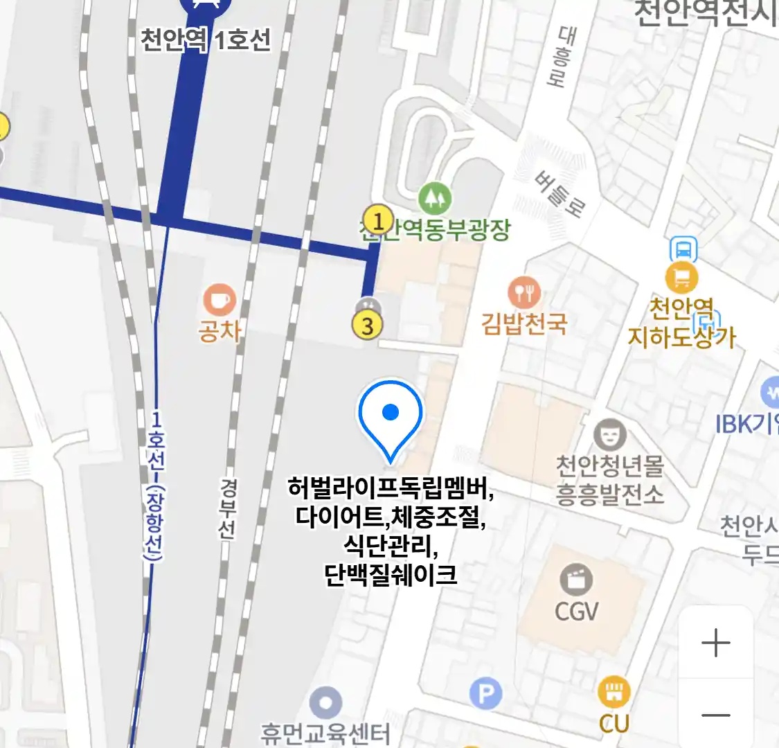 허벌라이프독립멤버,다이어트,체중조절,식단관리,단백질쉐이크