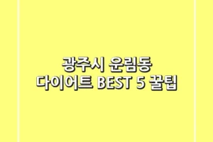 광주시 운림동 다이어트 BEST 5 꿀팁
