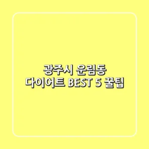 광주시 운림동 다이어트 BEST 5 꿀팁