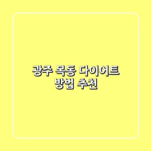 광주 목동 다이어트 방법 & 추천