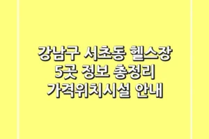 강남구 서초동 헬스장 5곳 정보 총정리 – 가격/위치/시설 안내