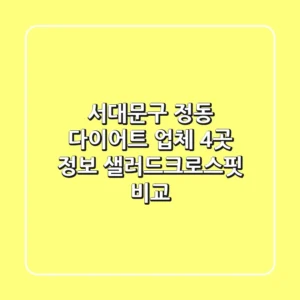 서대문구 정동 다이어트 업체 4곳 정보 - 샐러드/크로스핏 비교