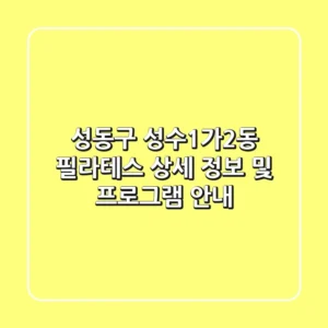 성동구 성수1가2동 필라테스: 상세 정보 및 프로그램 안내