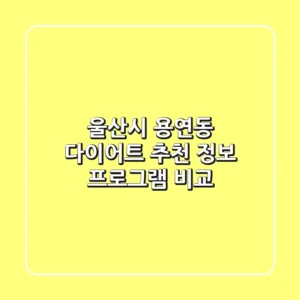 울산시 용연동 다이어트: 추천 정보, 프로그램 비교