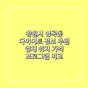 창원시 명곡동 다이어트 정보: 추천 업체 위치, 가격, 프로그램 비교