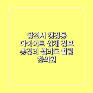 당진시 행정동 다이어트 업체 정보 총정리 - 샐러드, 힐링, 한의원