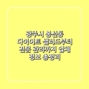 광주시 봉선동 다이어트 - 샐러드부터 전문 관리까지 업체 정보 총정리