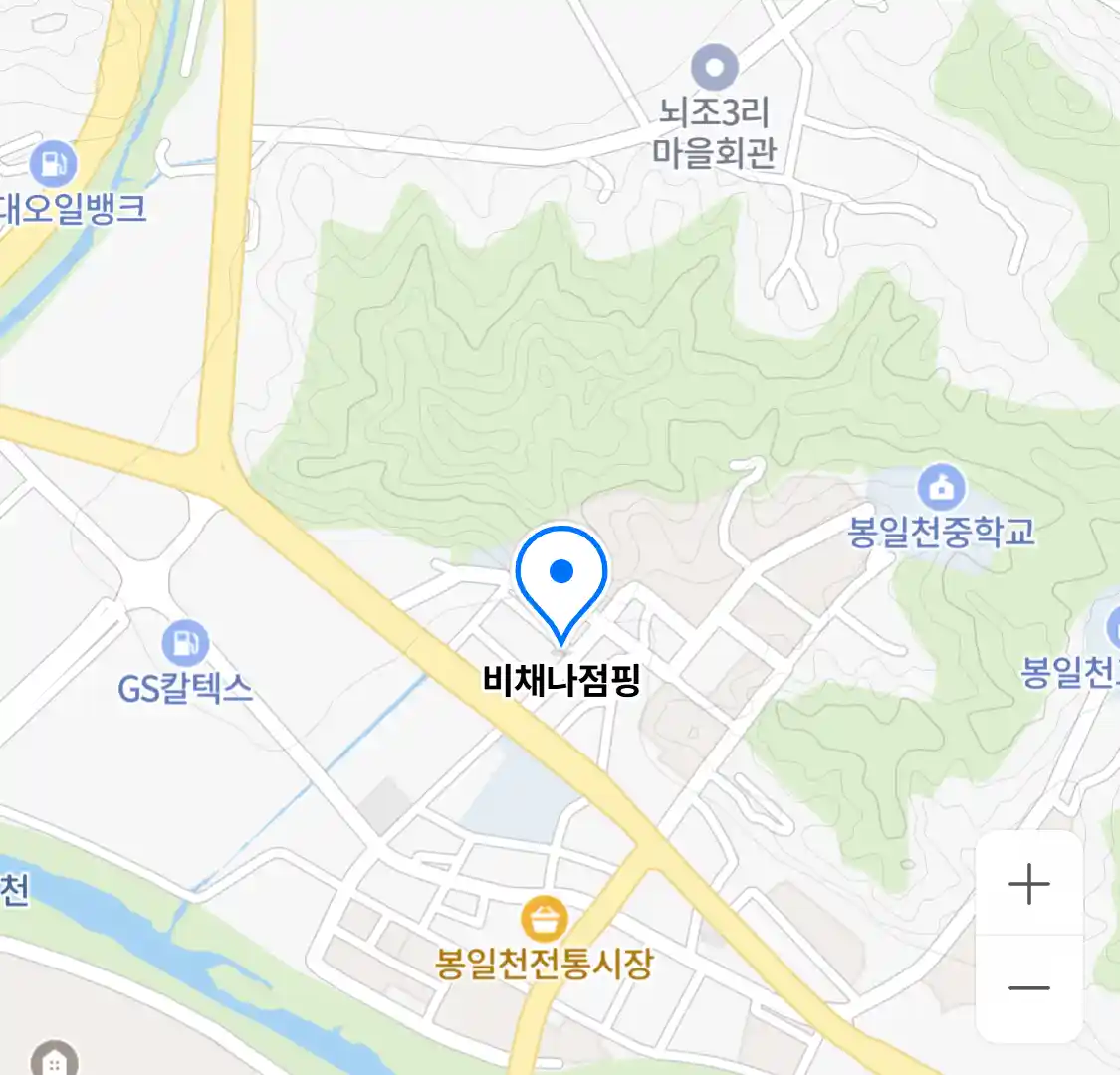 비채나점핑