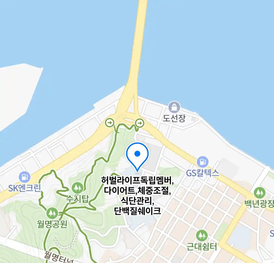 허벌라이프독립멤버,다이어트,체중조절,식단관리,단백질쉐이크