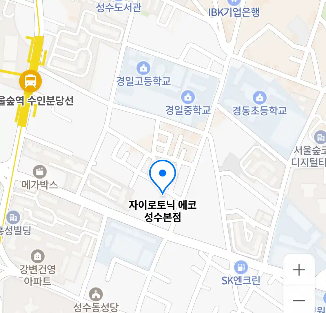 자이로토닉 에코 성수본점 위치