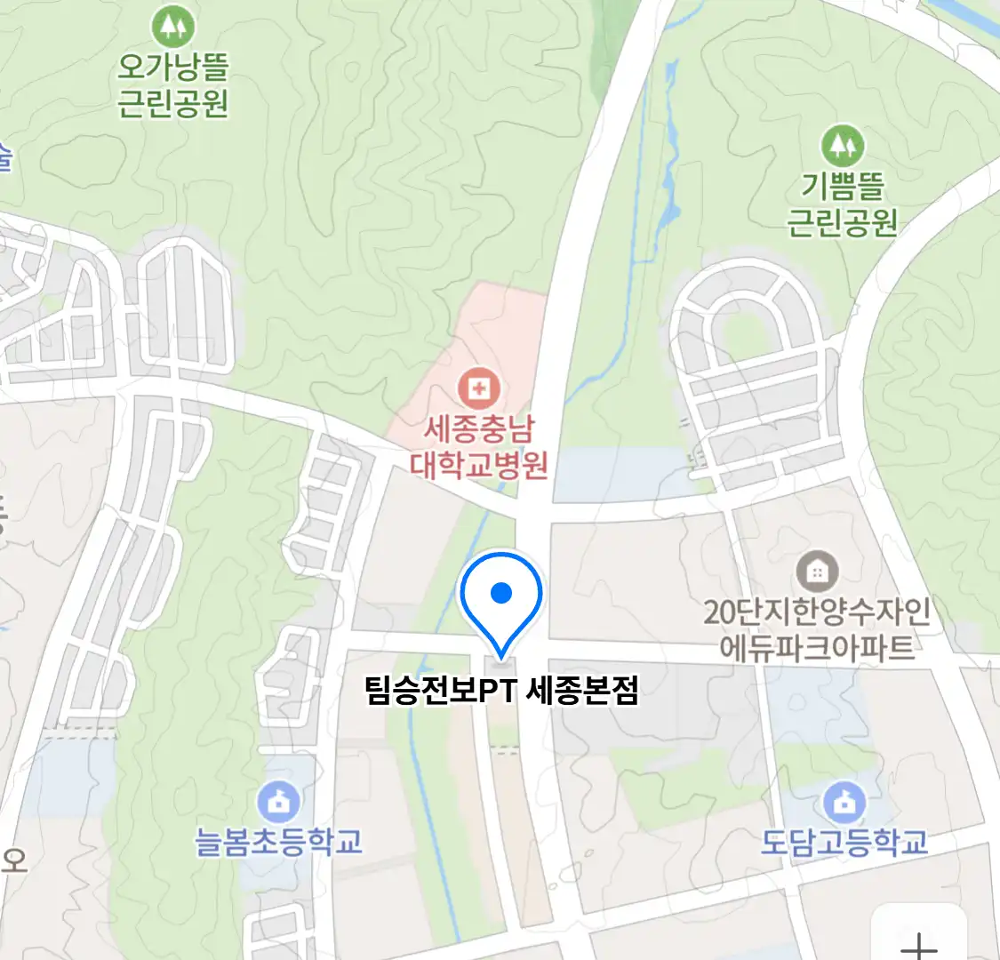 팀승전보PT 세종본점 위치