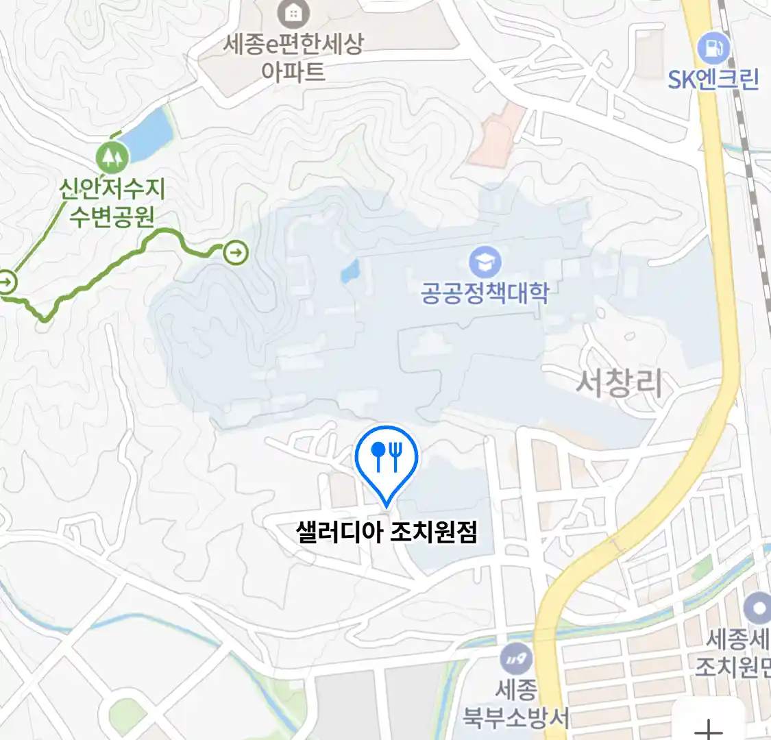 샐러디아 조치원점 위치