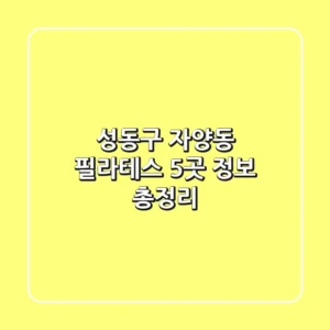 성동구 자양동 필라테스 5곳 정보 총정리