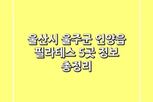 울산시 울주군 언양읍 필라테스 5곳 정보 총정리