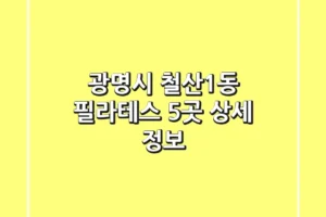 광명시 철산1동 필라테스 5곳 상세 정보