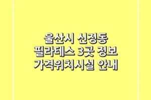 울산시 신정동 필라테스 3곳 정보 – 가격/위치/시설 안내