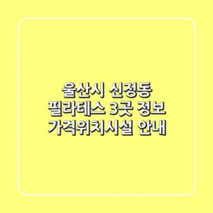 울산시 신정동 필라테스 3곳 정보 - 가격/위치/시설 안내