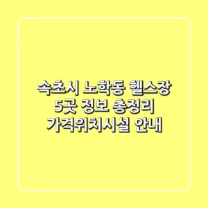 속초시 노학동 헬스장 5곳 정보 총정리 - 가격/위치/시설 안내
