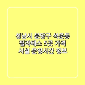 성남시 분당구 석운동 필라테스 5곳: 가격, 시설, 운영시간 정보