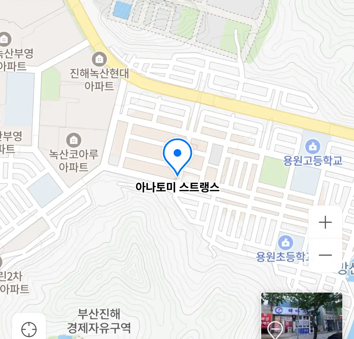 아나토미 스트랭스 위치