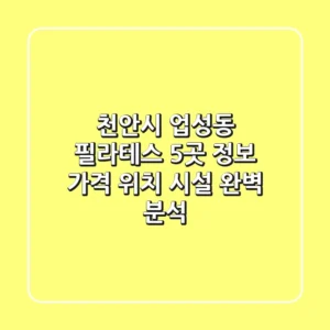 천안시 업성동 필라테스 5곳 정보 - 가격, 위치, 시설 완벽 분석