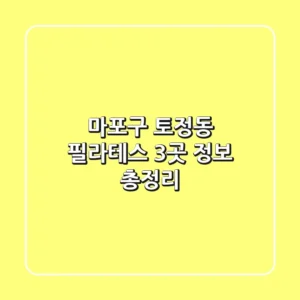마포구 토정동 필라테스 3곳 정보 총정리
