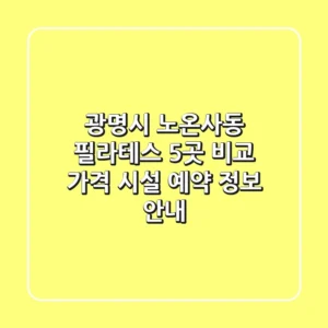 광명시 노온사동 필라테스 5곳 비교 - 가격, 시설, 예약 정보 안내