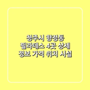 청주시 향정동 필라테스 4곳 상세 정보 - 가격, 위치, 시설
