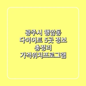 광주시 행암동 다이어트 5곳 정보 총정리 - 가격/위치/프로그램